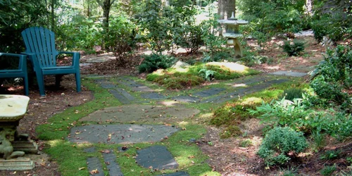 Walkway with moss