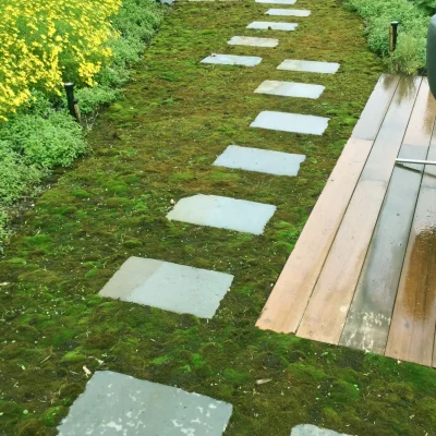 Rooftop moss garden walkway