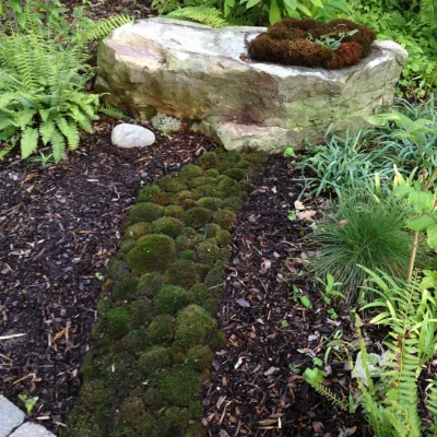 A small path of cushion moss leading to a large stone