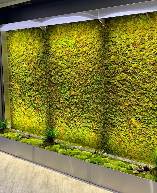 Long recessed moss wall