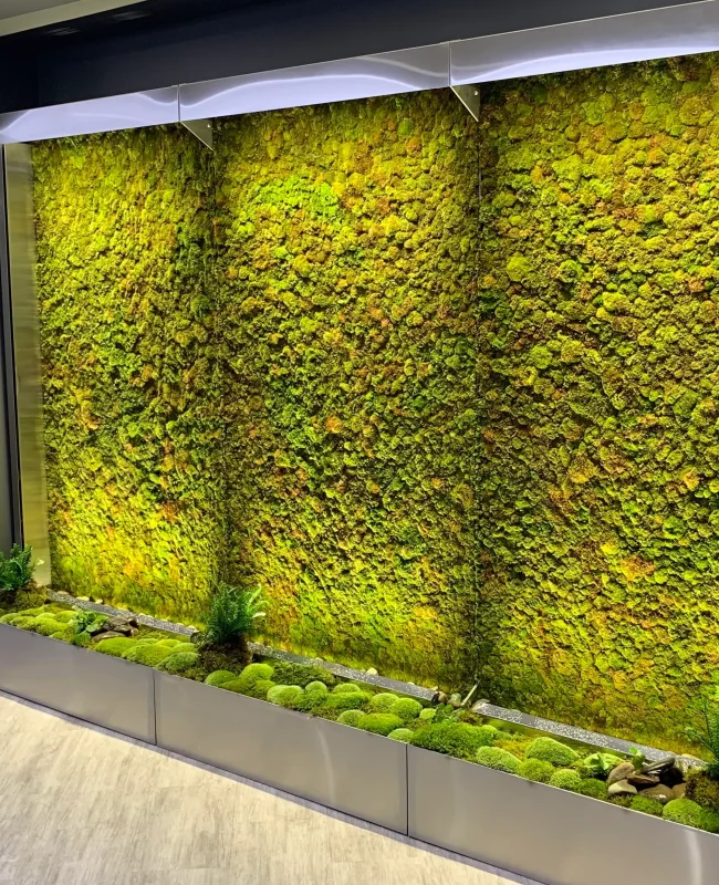Long recessed moss wall