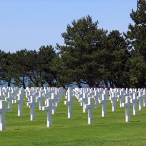 pexels-pixabay-262271 Cemetery lawn