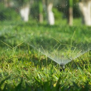 pexels-q-hưng-phạm-3351909 Lawn sprinkler