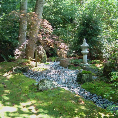 An Americanized Japanese garden with a stone path and moss against bushes and trees