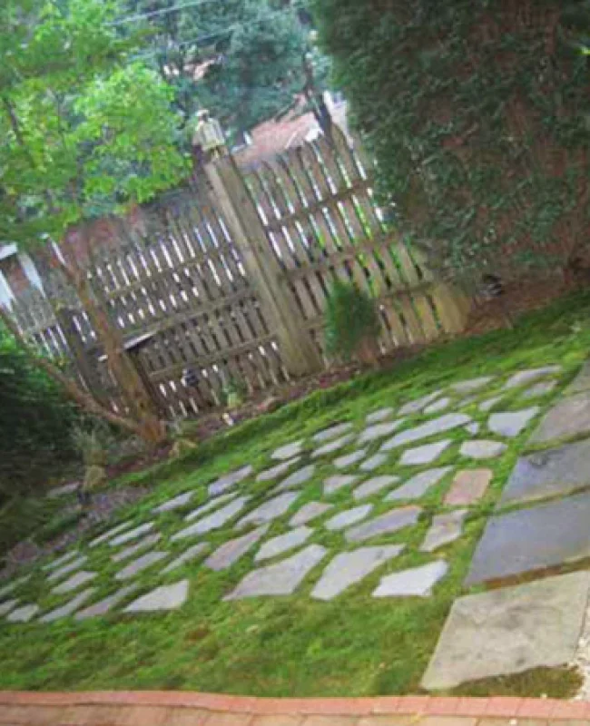 Flagstones and Hypnum Moss